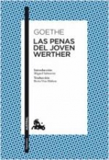 logo Johann Wolfgang Goethe