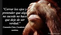 Cazadores de sombras, Cassandra Clare