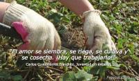 Juventud en xtasis , Carlos Cuauhtmoc Snchez
