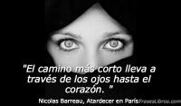 Atardecer en Pars, Nicolas Barreau