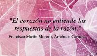 Arrebatos Carnales, Francisco Martn Moreno