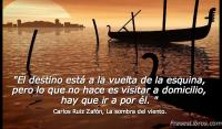 La sombra del viento, Carlos Ruiz Zafn
