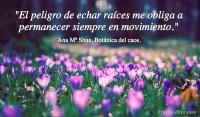 Botnica del caos, Ana M Shua