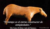 El ltimo vuelo del flamenco, Mia Couto