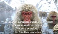 El otro pie de la sirena, Mia Couto