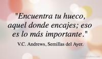 Semillas del Ayer, V.C. Andrews