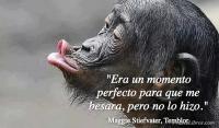 Temblor, Maggie Stiefvater