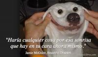 Beautiful Disaster, Jamie McGuire