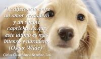 La diferencia entre un amor verdadero y un simple capricho, es que este ultimo es mas intenso y duradero. (Oscar Wilde)