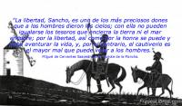Don Quijote de la Mancha, MIguel de Cervantes Saavedra
