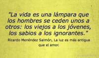 La luz es ms antigua que el amor, Ricardo Menndez Salmn
