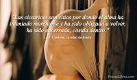 La edad de hierro, J. M. Coetzee