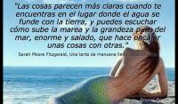 Una tarta de manzana llena de esperanza, Sarah Moore Fitzgerald