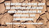 Un veneno llamado amor, Carmen Posadas