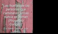 Palmeras en la nieve, Luz Gabs