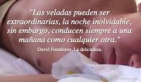 La delicadeza, David Foenkinos