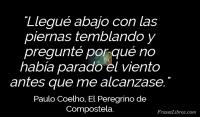 El Peregrino de Compostela, Paulo Coelho