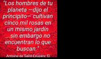 El Principito, Antoine de Saint-Exupry