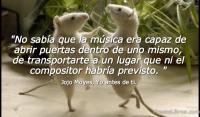 Yo antes de ti, Jojo Moyes