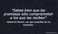 Los ojos amarillos de los cocodrilos , Katherine Pancol