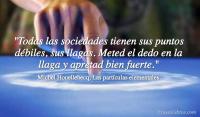 Las partculas elementales, Michel Houellebecq