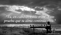 Manual del guerrero de la luz, Paulo Coelho