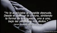Sputnik, mi amor, Haruki Murakami