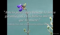 Arte y belleza en la esttica medieval, Umberto Eco
