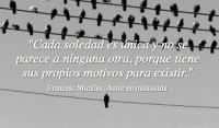 Amor en minscula, Francesc Miralles