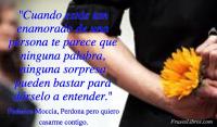 Perdona pero quiero casarme contigo, Federico Moccia