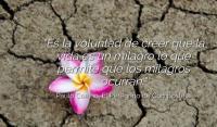 El Peregrino de Compostela, Paulo Coelho
