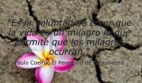 El Peregrino de Compostela, Paulo Coelho
