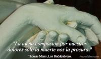 Los Buddenbrook, Thomas Mann