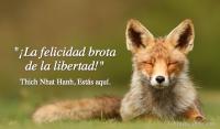 Ests aqu, Thich Nhat Hanh