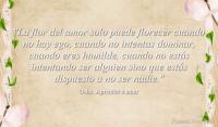 Aprender a amar, Osho