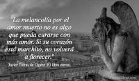 El libro eterno, Javier Torras de Ugarte