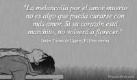El libro eterno, Javier Torras de Ugarte