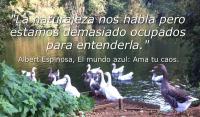 El mundo azul: Ama tu caos, Albert Espinosa