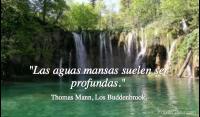 Los Buddenbrook, Thomas Mann