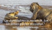 Maldita Nostalgia, Juan Luis Marn