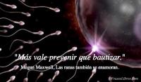 Las ranas tambin se enamoran, Megan Maxwell