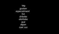 El Amante Japons, Isabel Allende