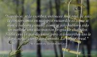 La Historia del Loco, John Katzenbach