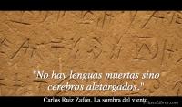 La sombra del viento, Carlos Ruiz Zafn