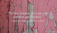 La sombra del viento, Carlos Ruiz Zafn