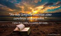 La sombra del viento, Carlos Ruiz Zafn