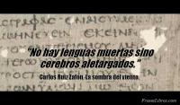 La sombra del viento, Carlos Ruiz Zafn