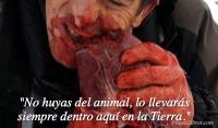 El miedo como gua, Ana M. Perea