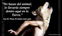 El miedo como gua, Ana M. Perea