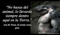 El miedo como gua, Ana M. Perea